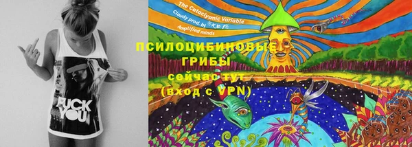 каннабис Алзамай