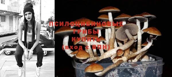 прущая мука Алексин