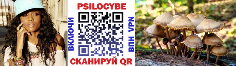 закладки  ОМГ ОМГ рабочий сайт  Псилоцибиновые грибы GOLDEN TEACHER  Раменское 